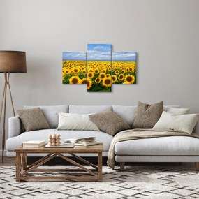 Tablou cu lan de floarea soarelui (90x60 cm)