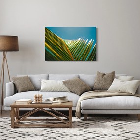 Tablou - Frunze de palmier (90x60 cm)