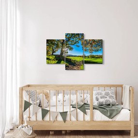 Tablou Privire la câmp (90x60 cm)