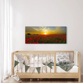 Tablou cu câmp cu maci (120x50 cm)