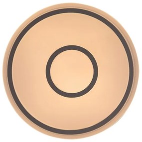 Rabalux 71117 - Plafonieră LED TAYTUM LED/25W/230V 3000K