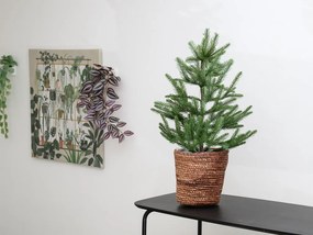 Ghiveci din iarba de mare SEAGRASS BASKET 20 cm