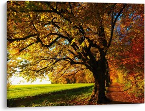 Tablou cu toamna (70x50 cm)