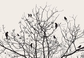Fototapet - Copac (254x184 cm)