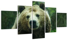 Tablou cu ursul (125x70 cm), în 40 de alte dimensiuni noi