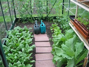 Seră din policarbonat Balance Green 2,44 x 2,47 m Palram - Canopia