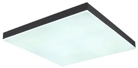Plafonieră LED dimabilă DORO LED/24W/230V negru Globo 41594D2 + telecomandă