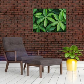 Tablou pe sticlă - Frunze cu picături de rouă (70x50 cm)