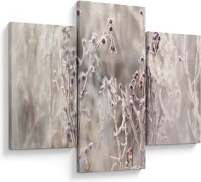 Tablou - Plante (90x60 cm)