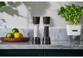 Set de râșnițe pentru sare și piper Cole&Mason DERWENT 2 buc. 19 cm fag/negru