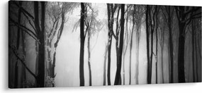 Tablou - Lup în pădurea întunecată (120x50 cm)