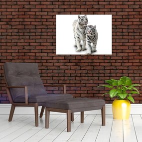 Tablou - Tigrul alb (70x50 cm)
