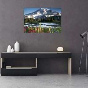 Tablou - Muntele Rainier (90x60 cm)