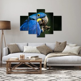 Tablou cu papagal (150x105 cm)