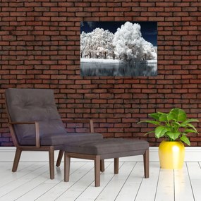 Tablou pe sticlă - Albă ca Zăpada Albă ca Zăpada Copaci (70x50 cm)