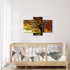 Tablou cu toamna (90x60 cm)