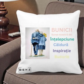 Cadou pentru Bunici - Perna Personalizata Bunicii Sursa Intelepciune Caldura Acuarela, 40x40 cm, Alba Mata, Husa Detasabila, Perna Inclusa, BEKZ®