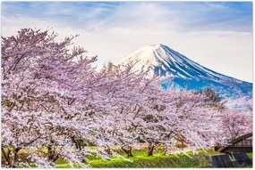 Tablou - Japonia în primăvară (90x60 cm)
