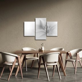 Tablou - Crin delicat (90x60 cm)