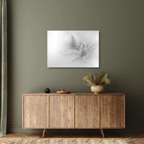 Tablou pe sticlă - Crin delicat (70x50 cm)