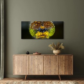 Tablou detailat cu ochii de omidă (120x50 cm)