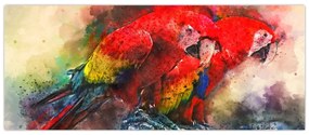 Tablou - Papagali roșii ara (120x50 cm)