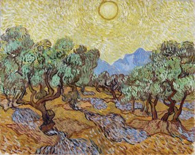 Reproducere Olive Trees (1889), Vincent van Gogh