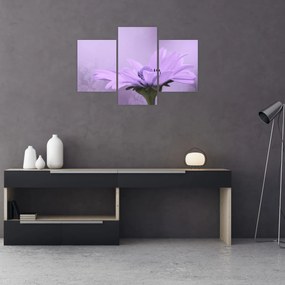 Tablou - Flori mov (90x60 cm)