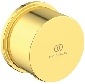 Cot racord furtun dus Ideal Standard Multisuite auriu periat Auriu periat