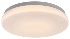 Rabalux 77133-LED Plafonieră LED pentru baie LOWAR LED/12W/230V IP44 3000/4000/6000K