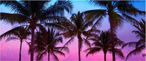 Tablou - Palmieri din Miami (120x50 cm)