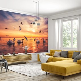 Fototapet - Lebede pe lac (147x102 cm)