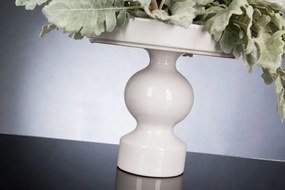 Aranjament floral design LUX Cineraria, 40x55cm