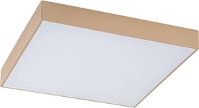 Rabalux 77000 - Plafonieră LED pentru baie TARTU 24W/230V 2800/4000/6000K IP44