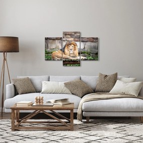 Tablou cu leu (90x60 cm)