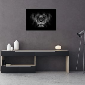 Tablou pe sticlă - Leu majestic (70x50 cm)