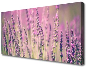 Tablou pe panza canvas Flori Floral violet