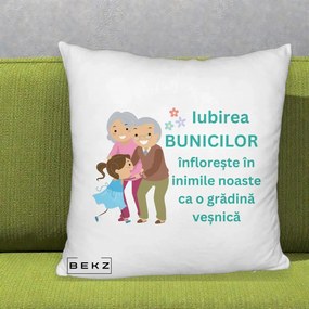 Cadou pentru Bunici - Perna Personalizata Bunicii Iubirea Infloreste cu Nepoata Teal, 40x40 cm, Alb Pufos, Husa Detasabila, Perna Inclusa, BEKZ®