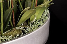 Aranjament floral mediu design LUX BIG PHALEANOPSIS DISK