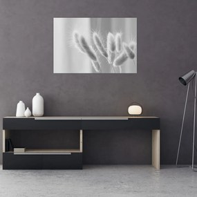 Tablou - Iarbă de coadă de iepure (90x60 cm)