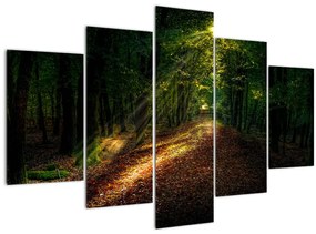 Tablou cu poteca prin pădure (150x105 cm)