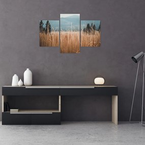 Tablou - detaliu spațiului de luncă (90x60 cm)