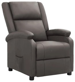 3093192 vidaXL Fotoliu cu ridicare, gri, piele naturală