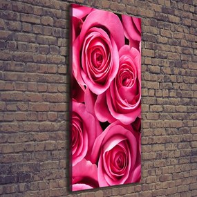 Print pe canvas Trandafiri roz