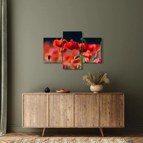 Tablou - flori de maci (90x60 cm)