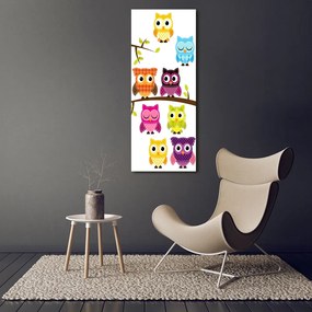 Pictură pe pânză Bufnițe colorate
