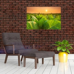 Tablou - Câmp (90x60 cm)