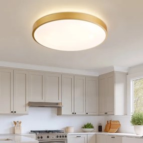 Brilagi - Corp de iluminat LED dimabil GLASS POOL DOUBLE, 80W/230V, 60 cm, auriu + telecomandă