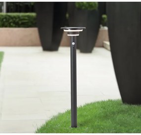 Lampă LED solară cu senzor Brilliant GARVINA LED/3W/3,7V 85 cm IP44 negru