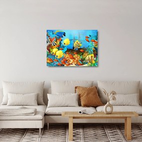 Tablou pe sticlă - Recif de corali colorat (70x50 cm)